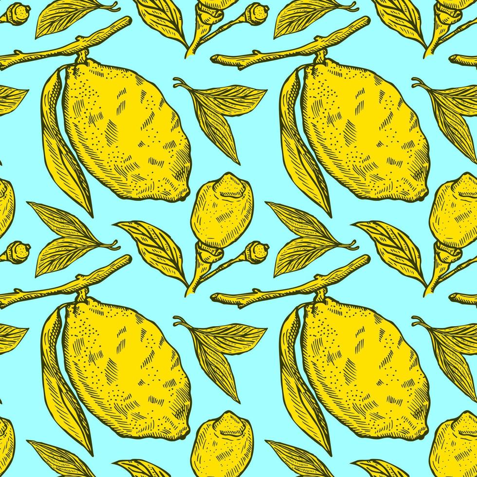 Seamless pattern lemons seamless pattern. Vintage background with whole lemon, sliced, half, leaf and seed in hand drawn style. Citrus design texture for print, fabric, wrapping, wallpaper, tissue. vector