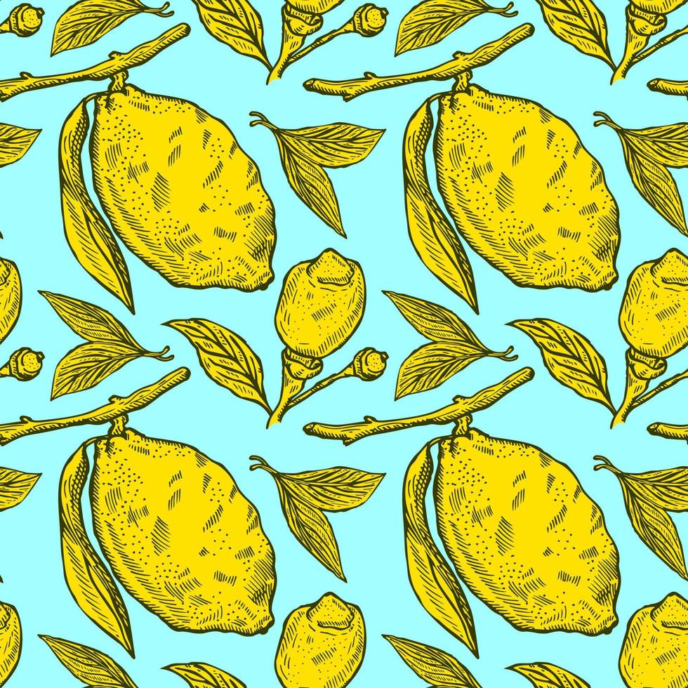 Seamless pattern lemons seamless pattern. Vintage background with whole lemon, sliced, half, leaf and seed in hand drawn style. Citrus design texture for print, fabric, wrapping, wallpaper, tissue. vector