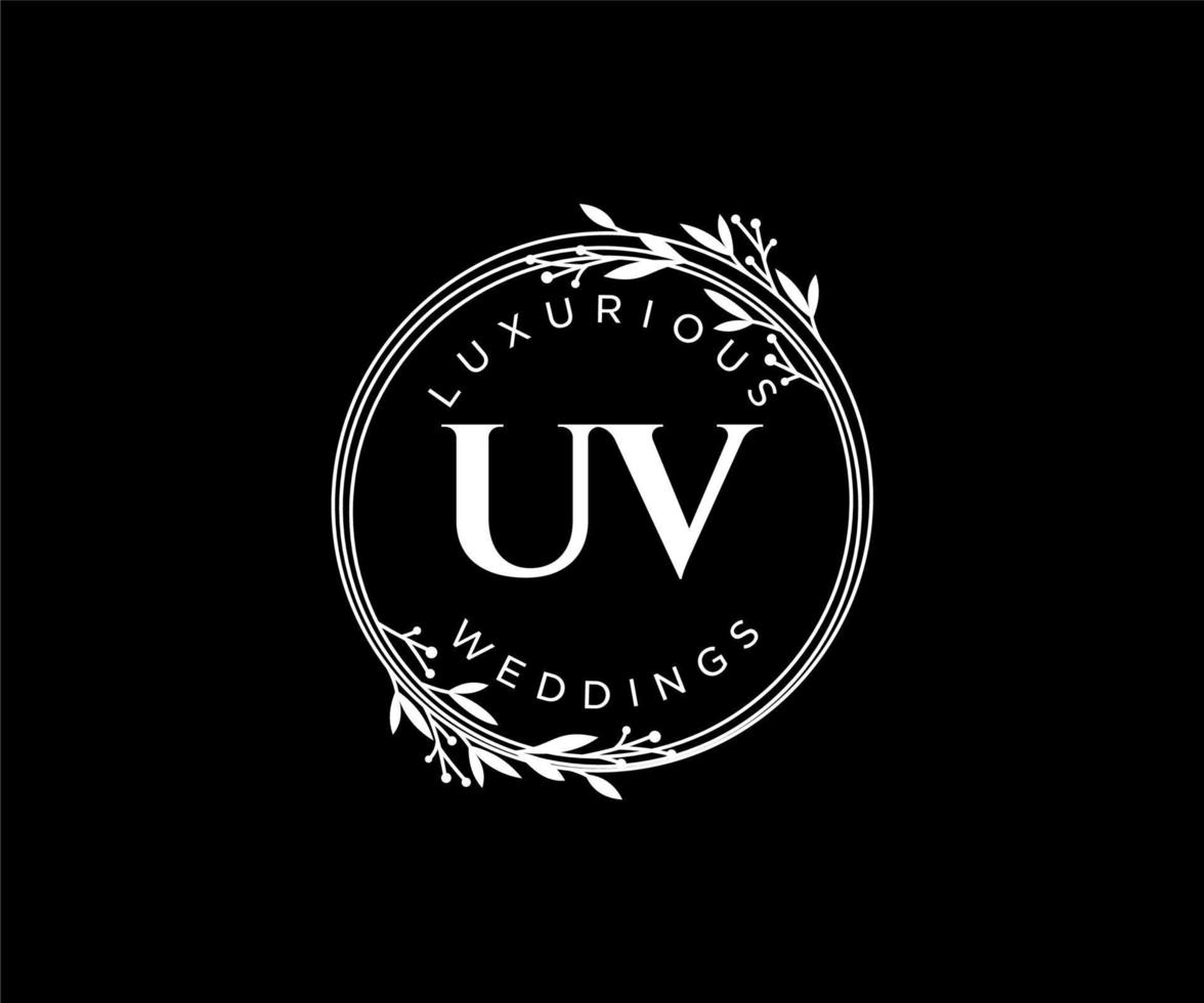 UV Initials letter Wedding monogram logos template, hand drawn modern minimalistic and floral templates for Invitation cards, Save the Date, elegant identity. vector