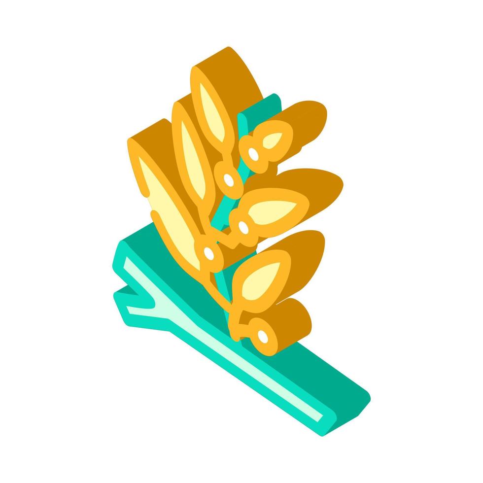 sargassum seaweed isometric icon vector illustration