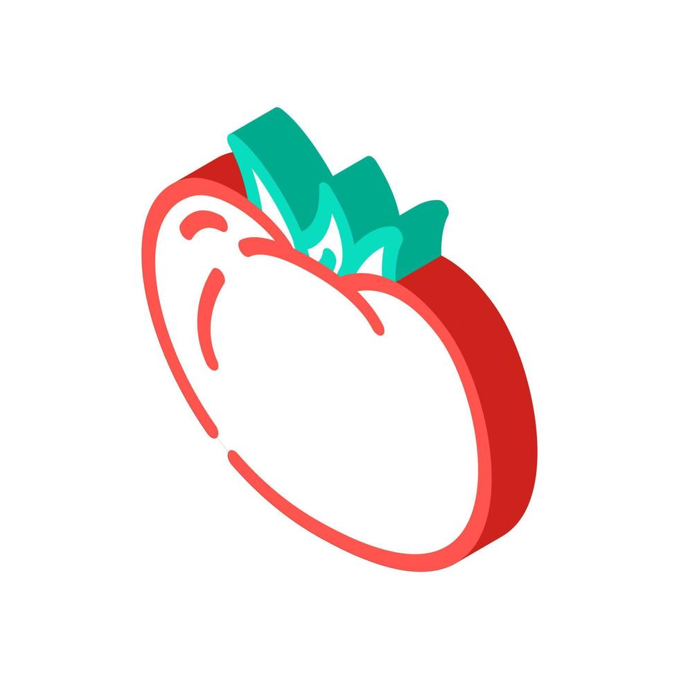 tomate vegetal icono isométrico ilustración vectorial vector