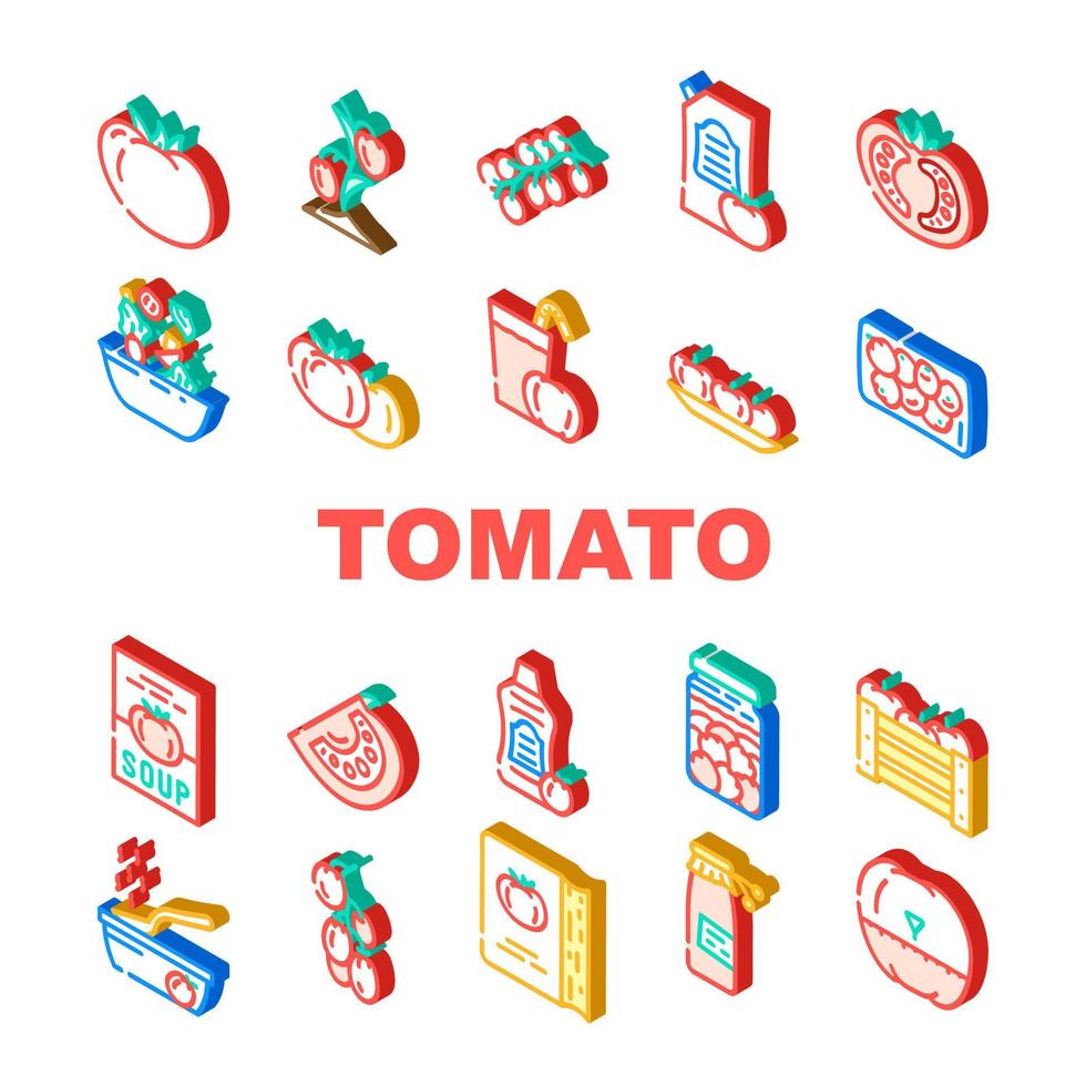 conjunto de iconos de bio ingrediente natural de tomate vector