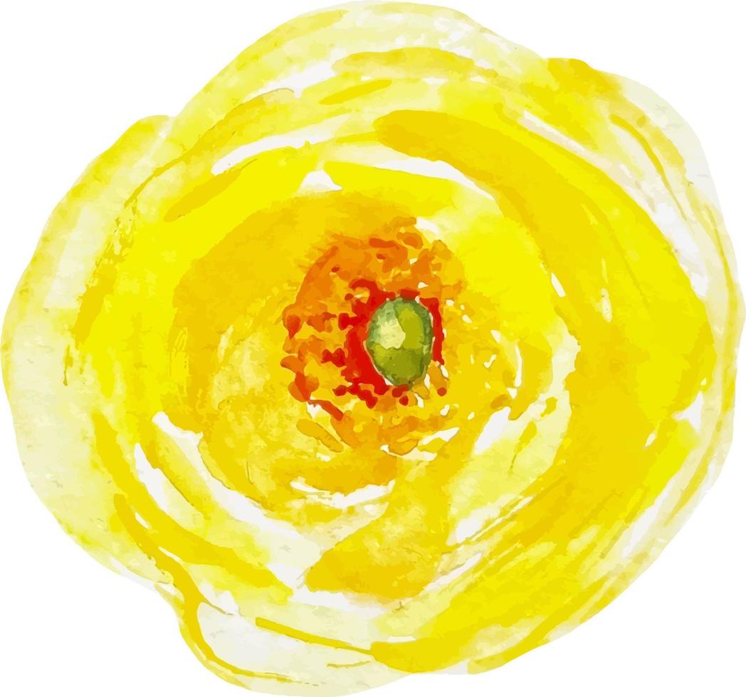 Watercolor ranunculus yellow flower clipart hand drawn for stickers and decor vector