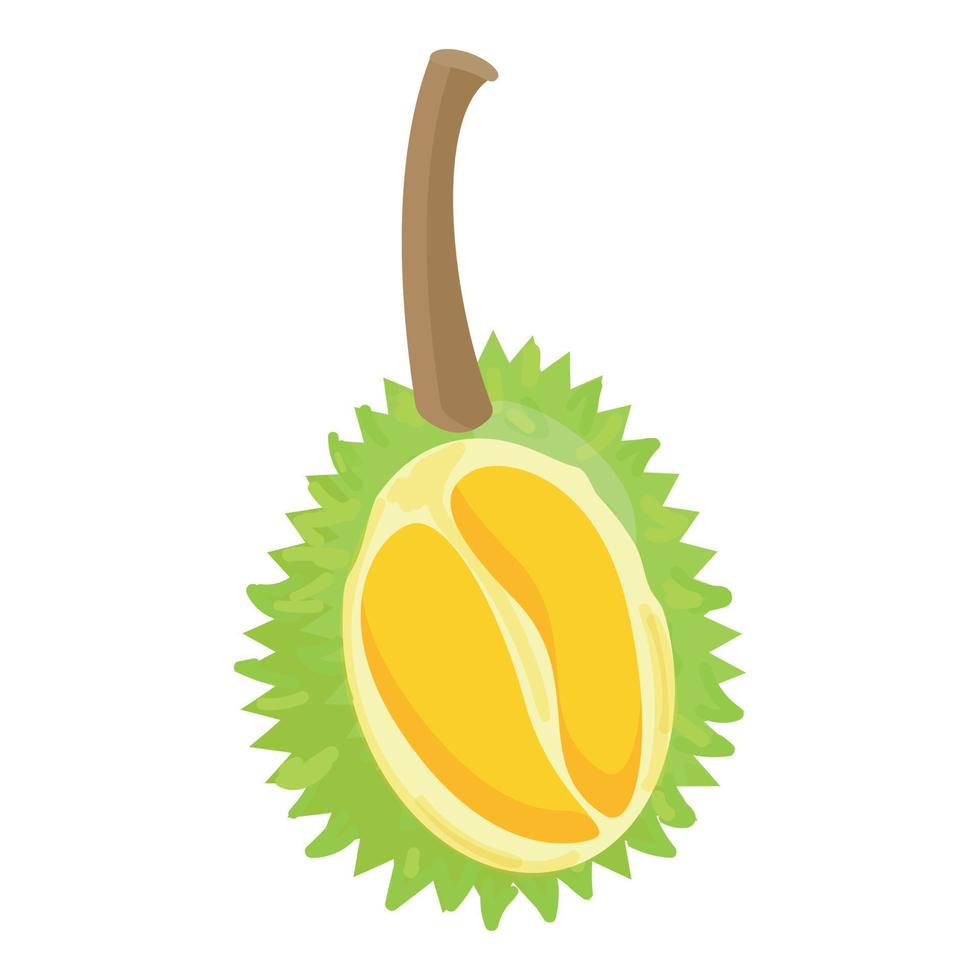 la mitad del vector de dibujos animados de icono durian. comida fruta