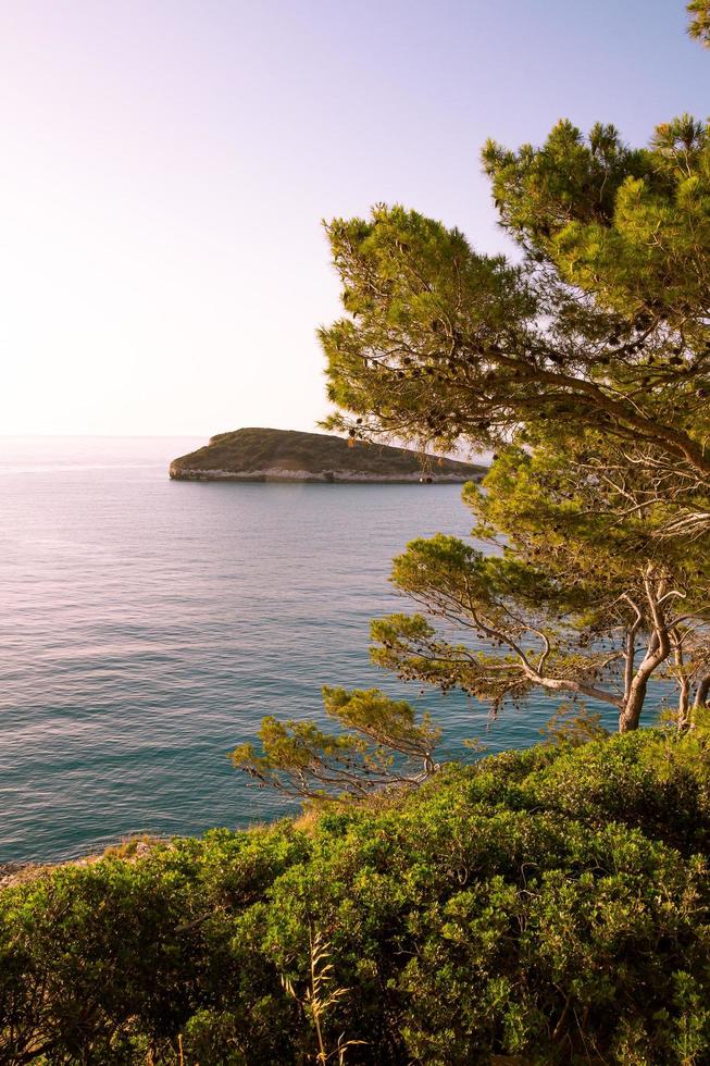 View to little island Campi seen from coastal road from Vieste to Mattinata at Gargano National Park, Apulia, Italy photo