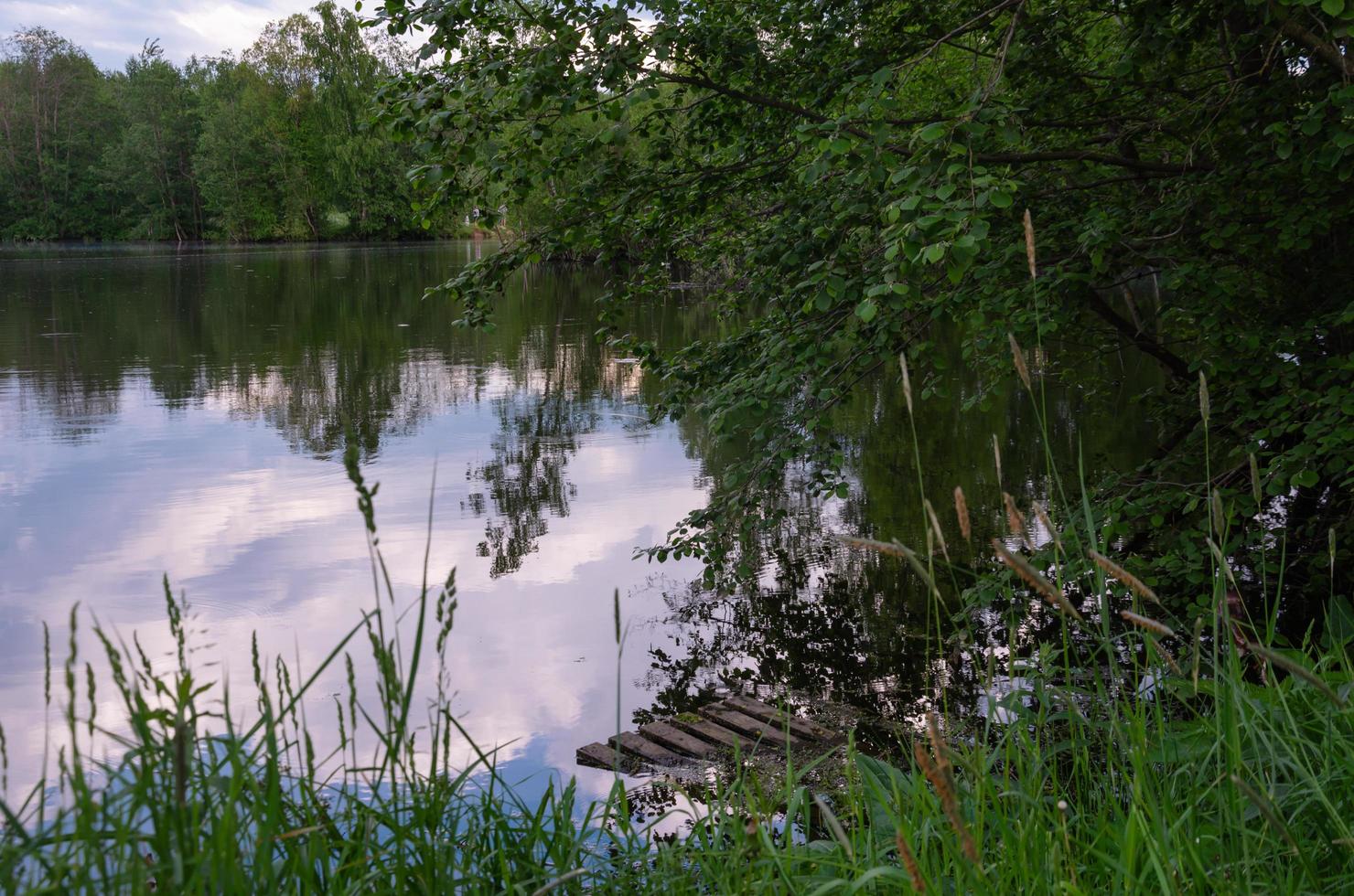 the landscape of the lake in the middle of the forest. quiet lake in the forest photo