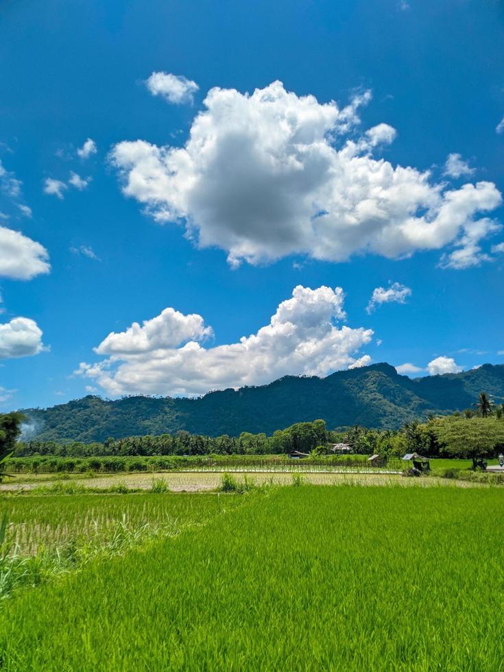 beautiful countryside panorama. sunny day photo