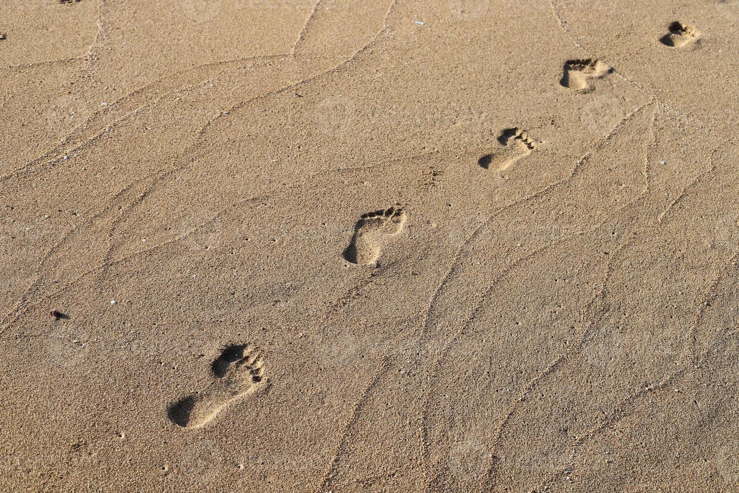 Footprints in the sand by the sea photo