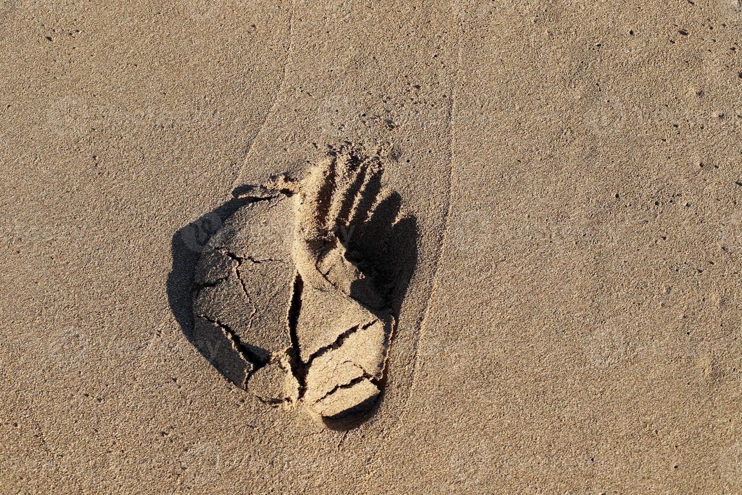 Footprints in the sand by the sea photo