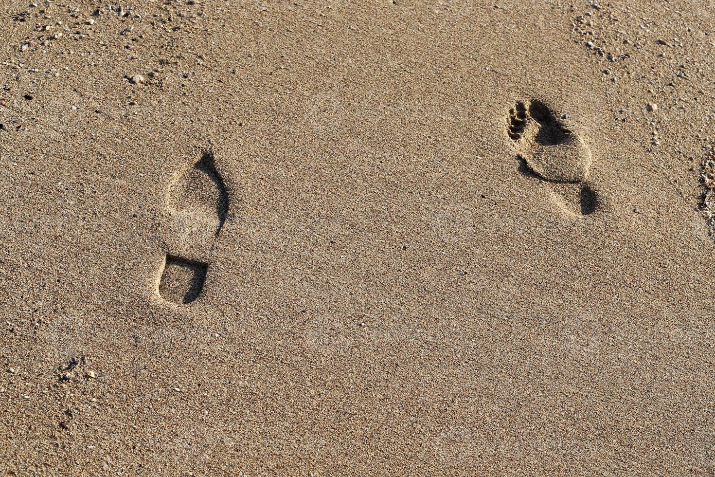 Footprints in the sand by the sea photo