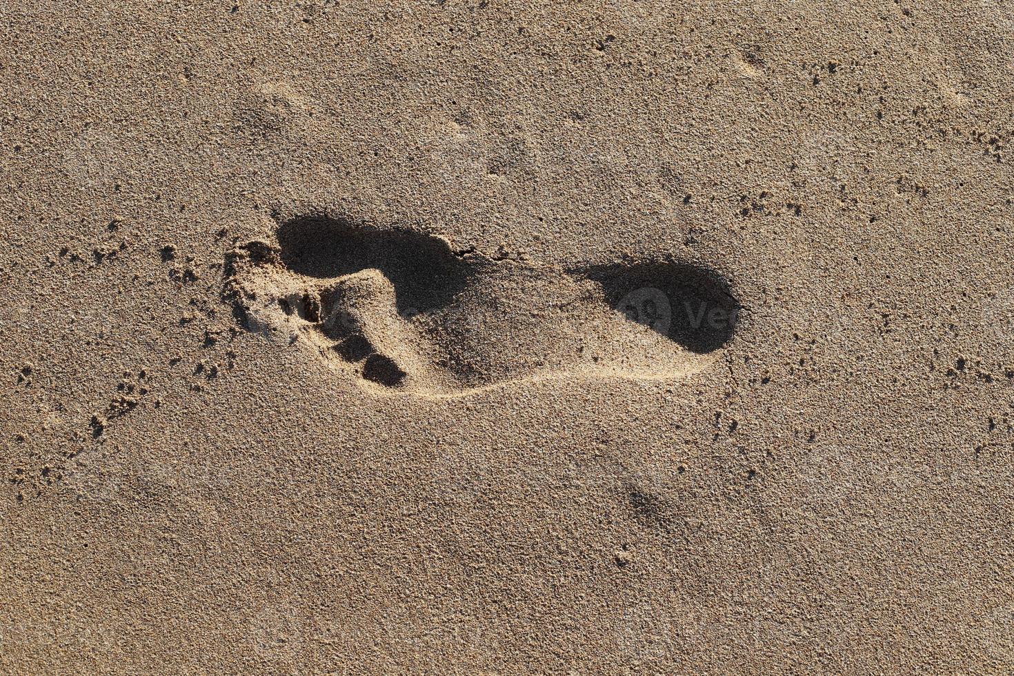 Footprints in the sand by the sea photo