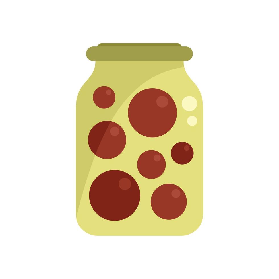 Fruit pickled icon flat vector. Food jar vector