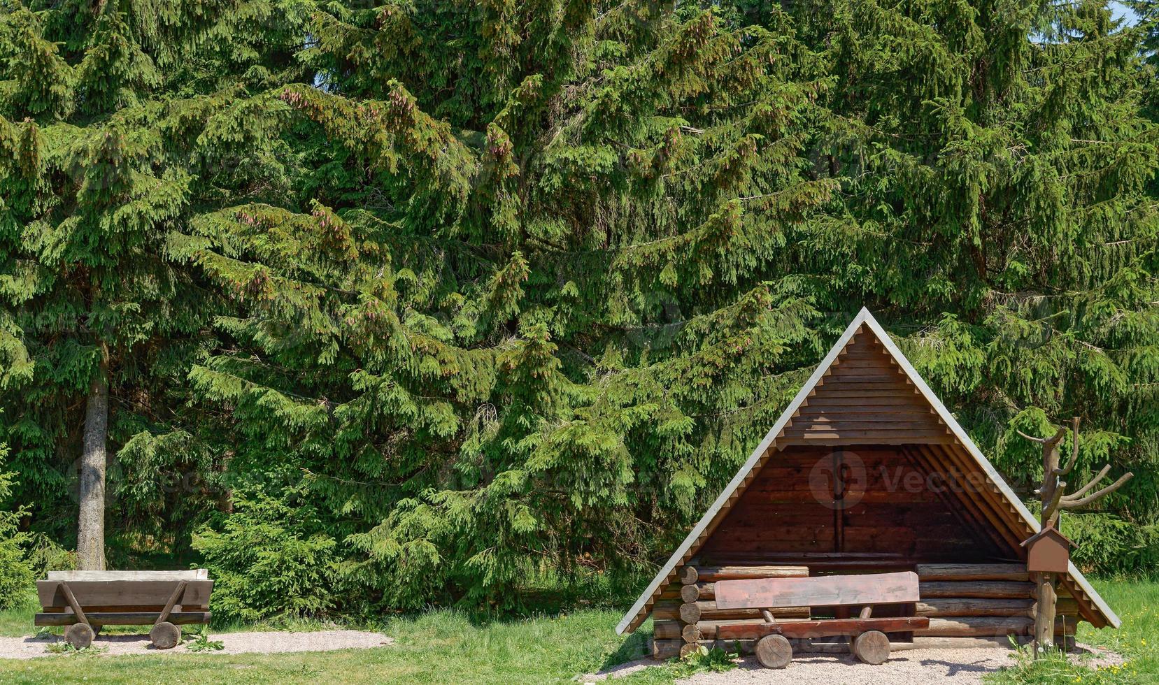 Zona de picnic en la ruta de senderismo Rennsteig,bosque de Turingia,Turingia,Alemania foto