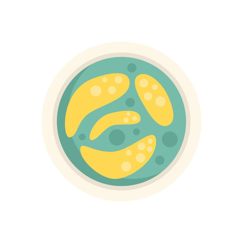 Petri dish icon flat vector. Bacteria cell vector