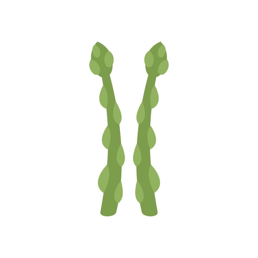 vector plano de icono de espárragos de naturaleza. planta vegetal