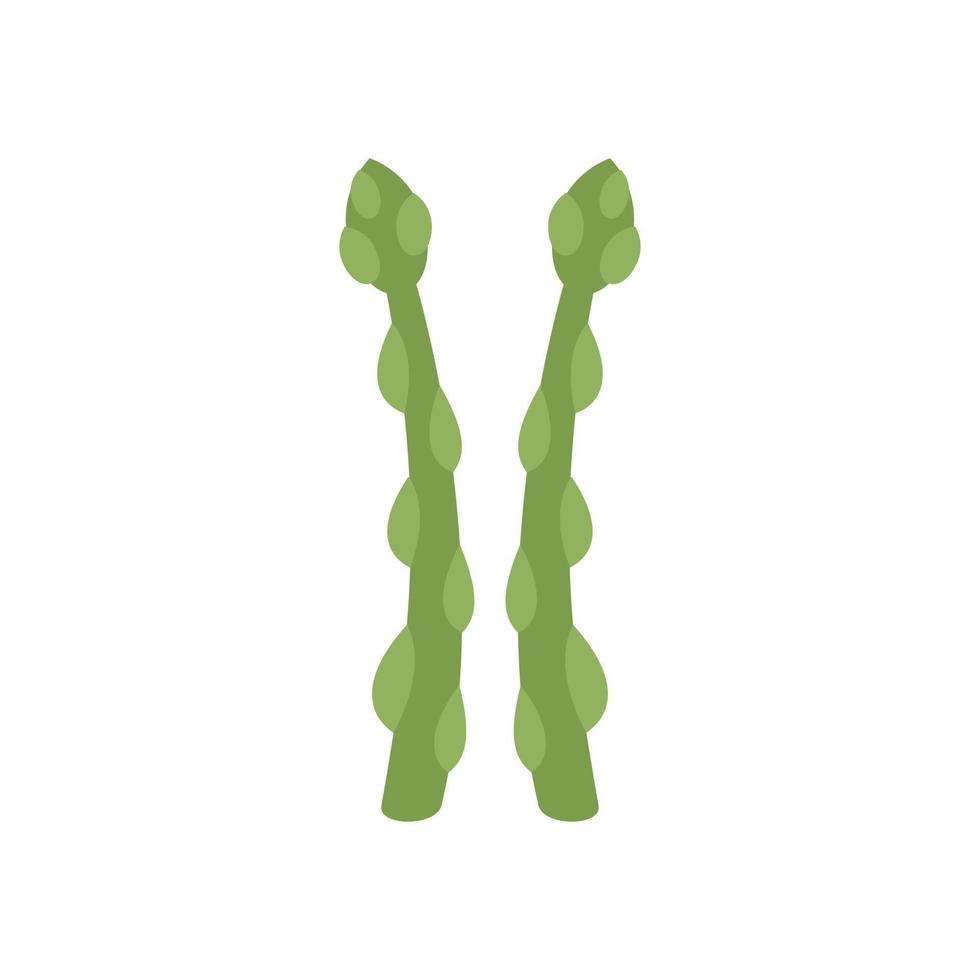 Nature asparagus icon flat vector. Vegetable plant vector