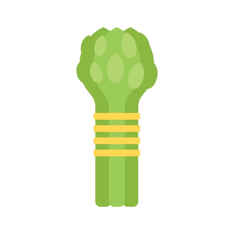 Farm asparagus icon flat vector. Plant food vector