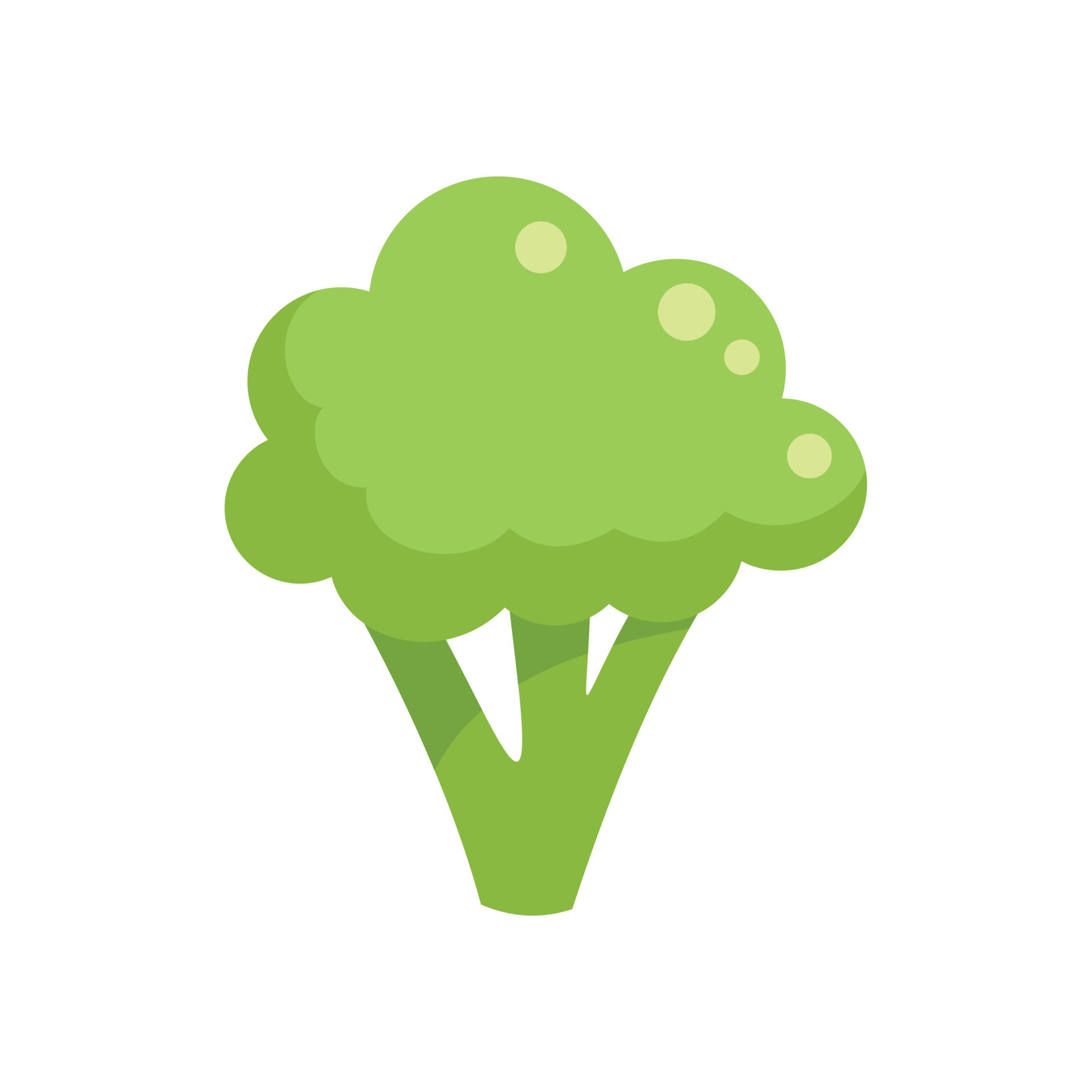 Vitamin brocoli icon flat vector. Broccoli cabbage 17327821 Vector Art