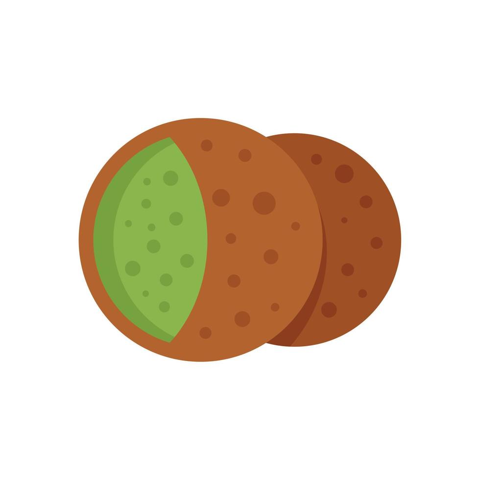 Vegan falafel icon flat vector. Pita cooking vector
