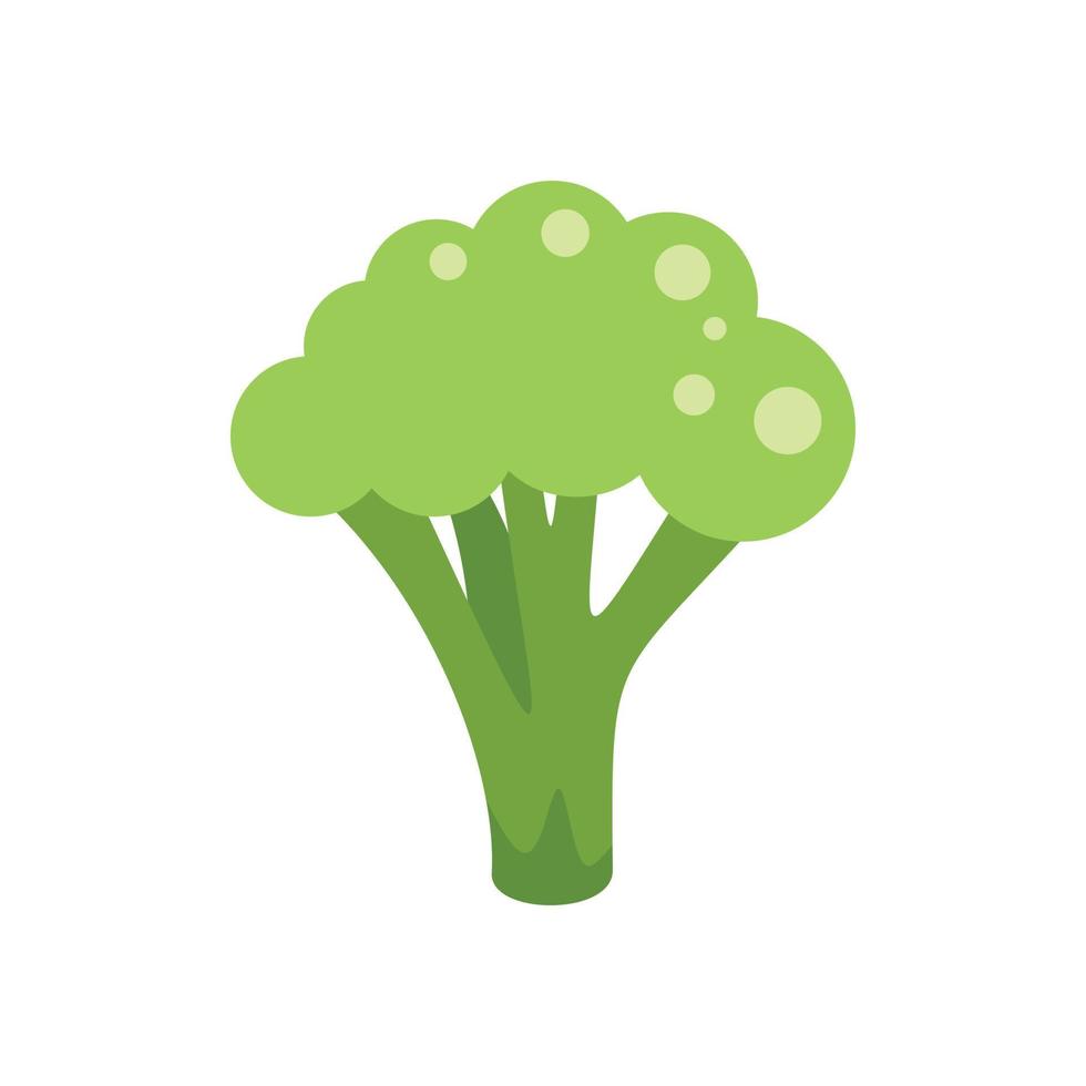 icono de brócoli vector plano. repollo