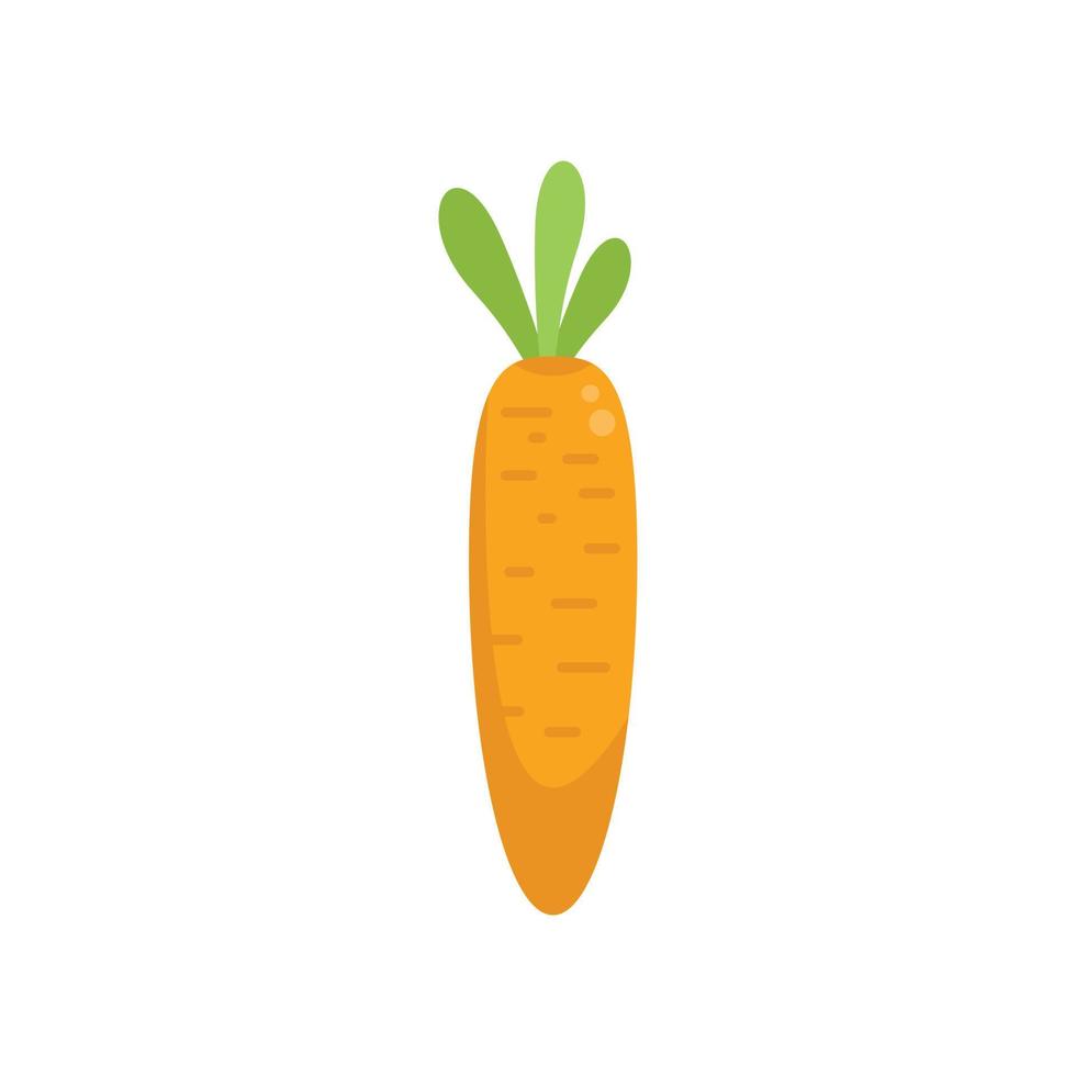 vector plano de icono de zanahoria ecológica. Agricultura ecológica