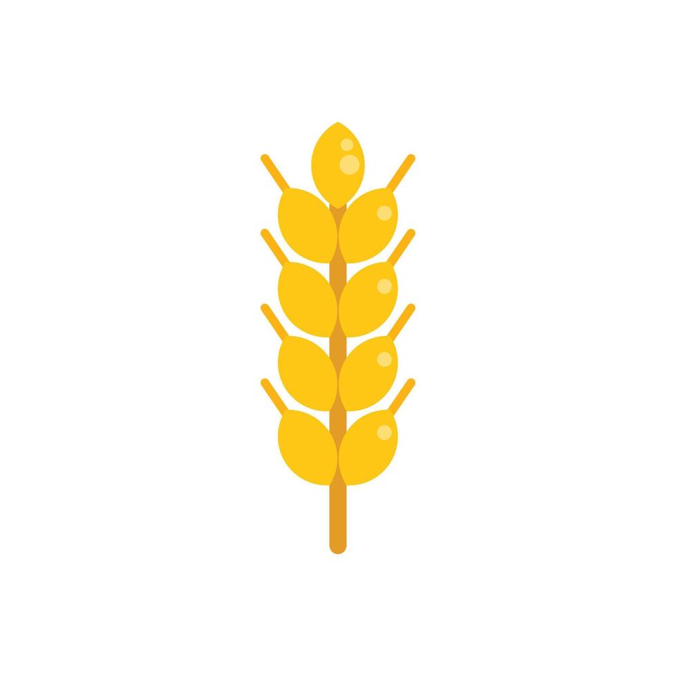 vector plano de icono de trigo. jardín orgánico