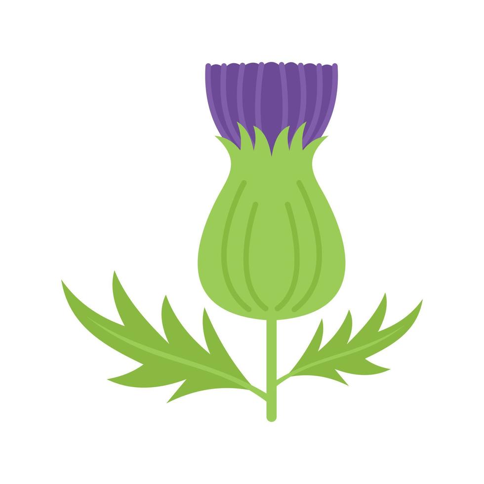 Seed thistle icon flat vector. Stem marian vector