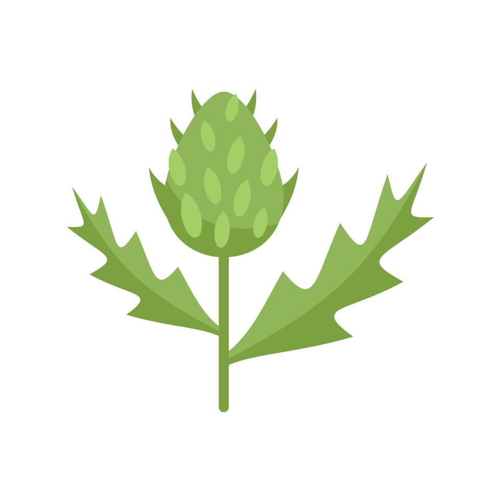 Scottish thistle icon flat vector. Milk plant vector