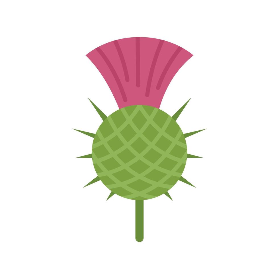 Thistle silybum icon flat vector. Flower scottish vector