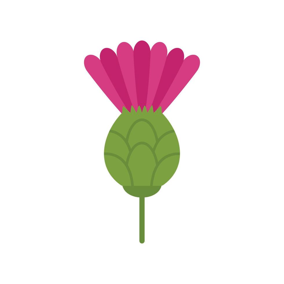 vector plano de icono de cardo de Escocia. planta de flores