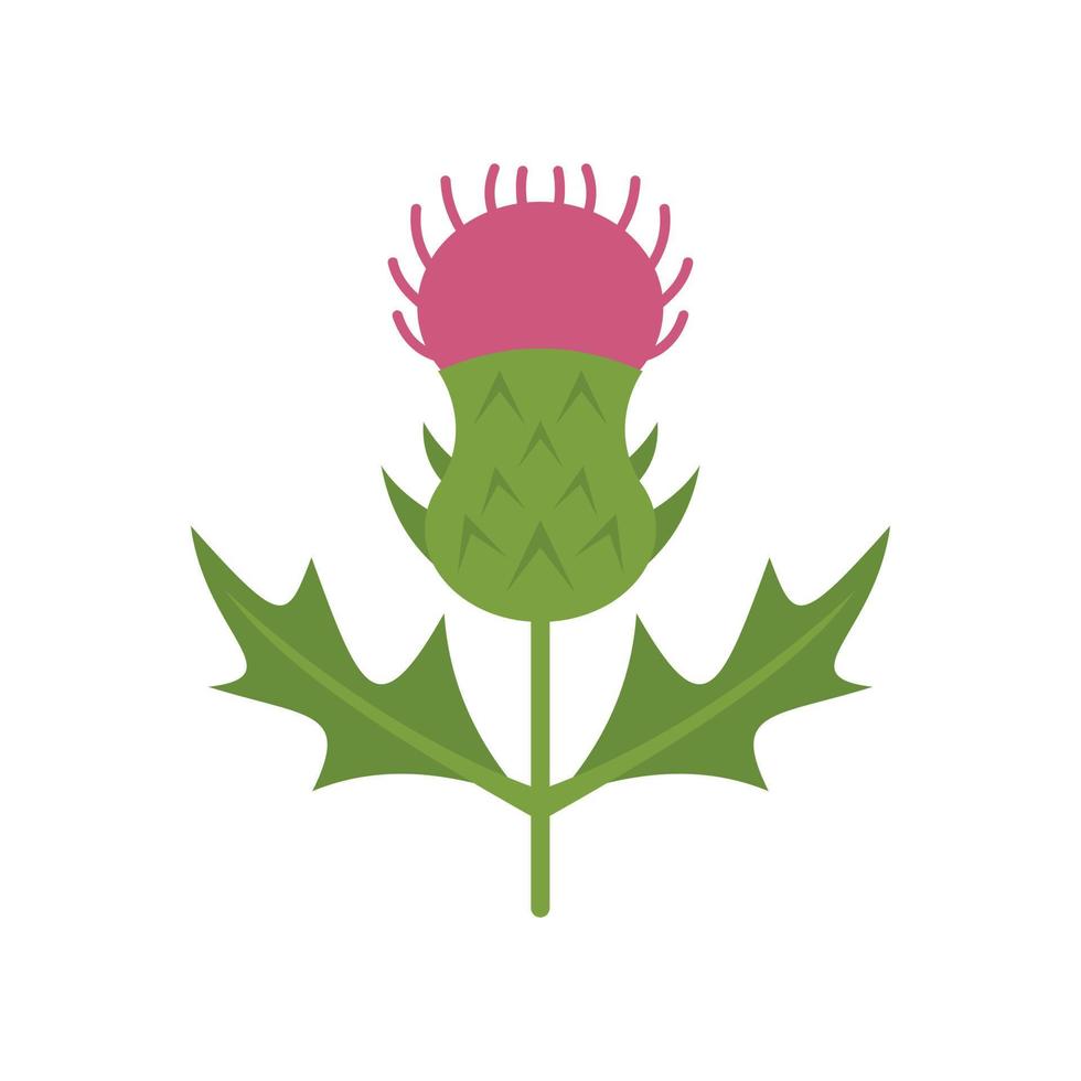 Thistle plant icon flat vector. Milk flower vector