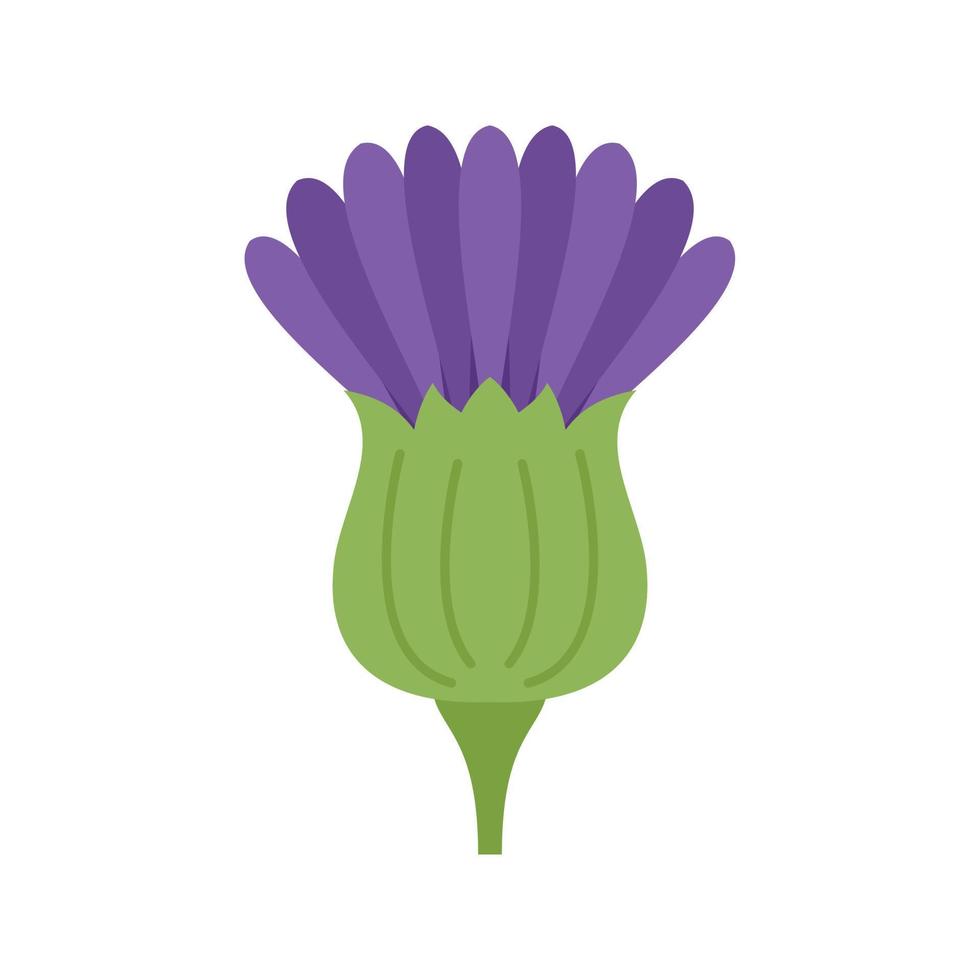 vector plano de icono de cardo de montaña. planta de flores