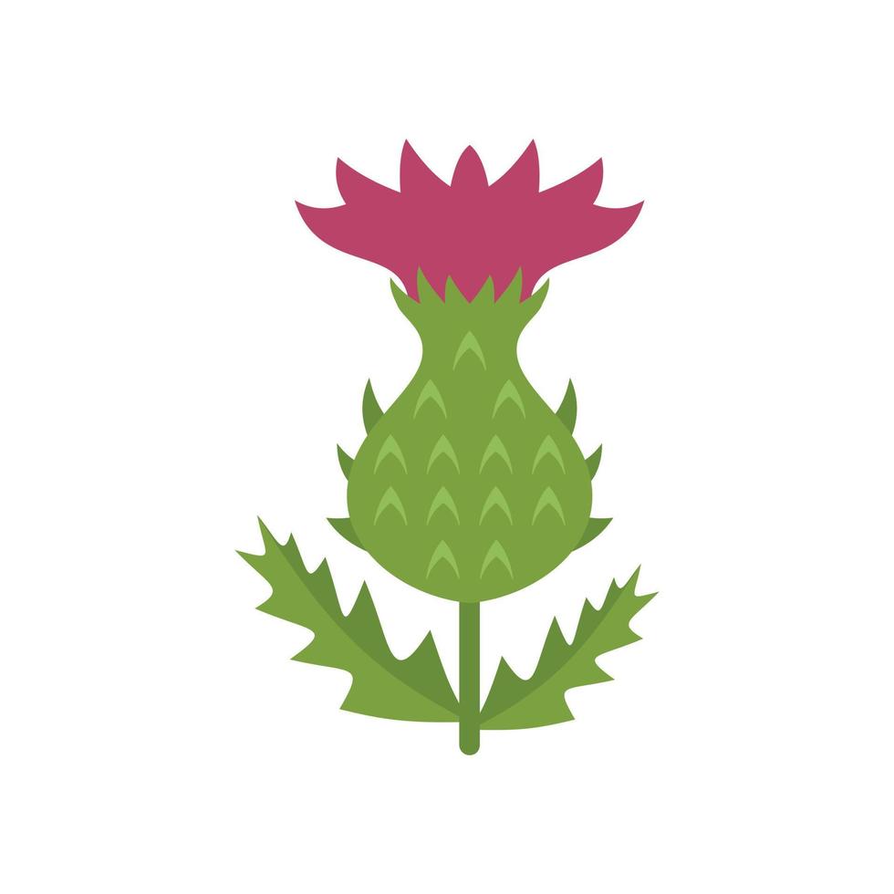 Silymarin thistle icon flat vector. Flower plant vector