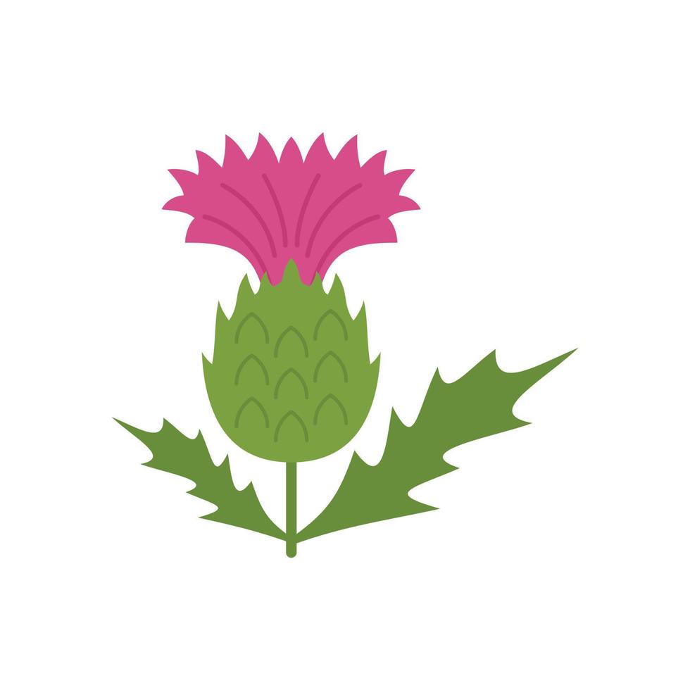 Stem thistle icon flat vector. Flower plant vector