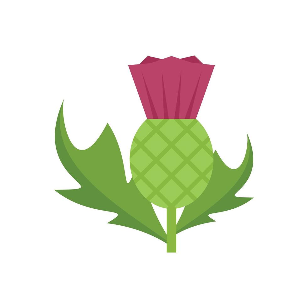 Marianum thistle icon flat vector. Flower milk vector