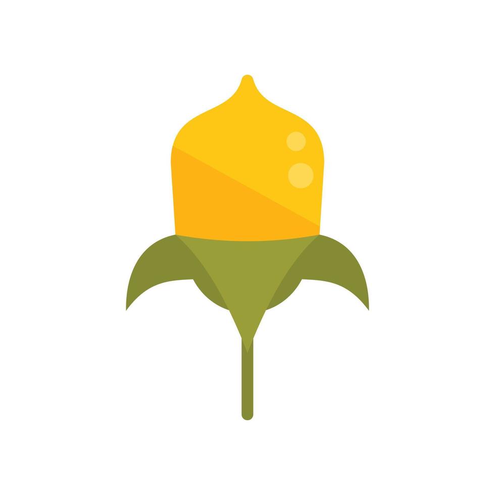 flor jojoba icono vector plano. semilla de planta