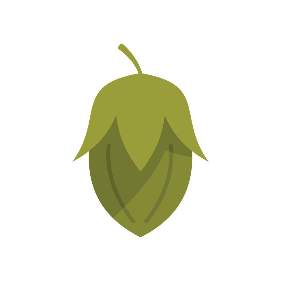 bio jojoba icono vector plano. semilla de planta