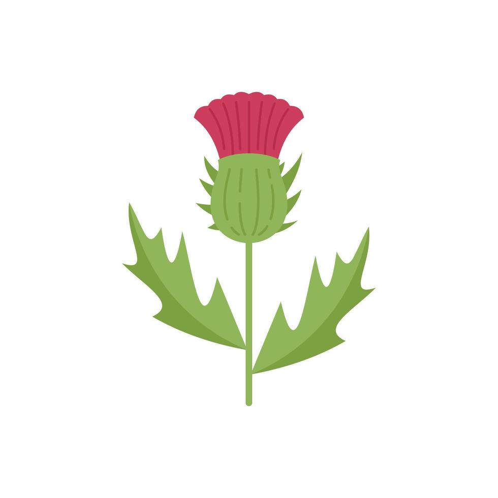 Cirsium thistle icon flat vector. Flower milk vector