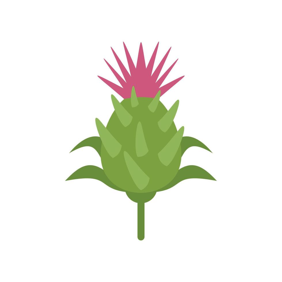 Thistle flower icon flat vector. Silymarin plant vector