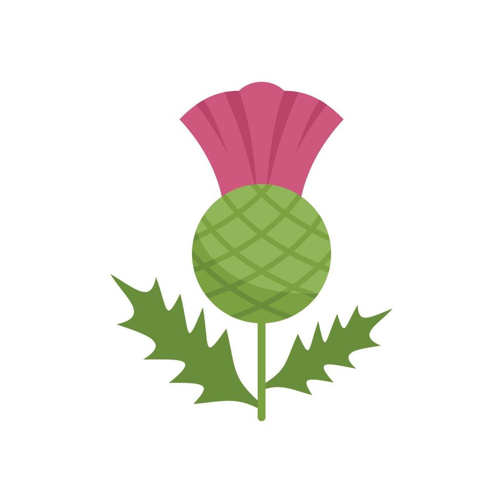 Milk thistle icon flat vector. Silymarin plant vector