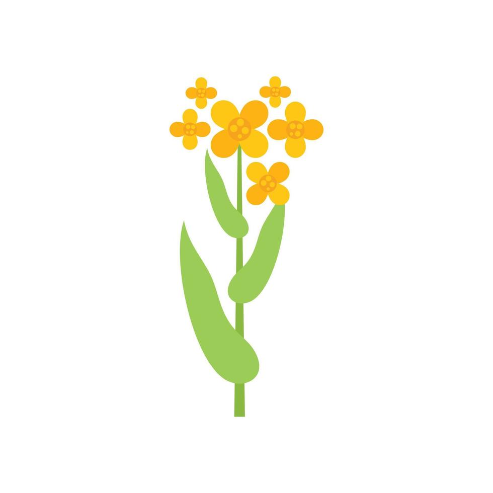 Canola field plant icon flat vector. Oil flower vector