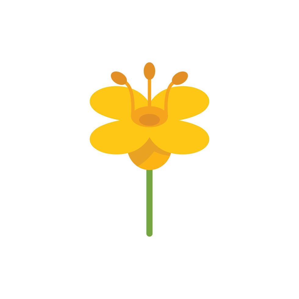 flor etiqueta canola icono vector plano. planta de aceite