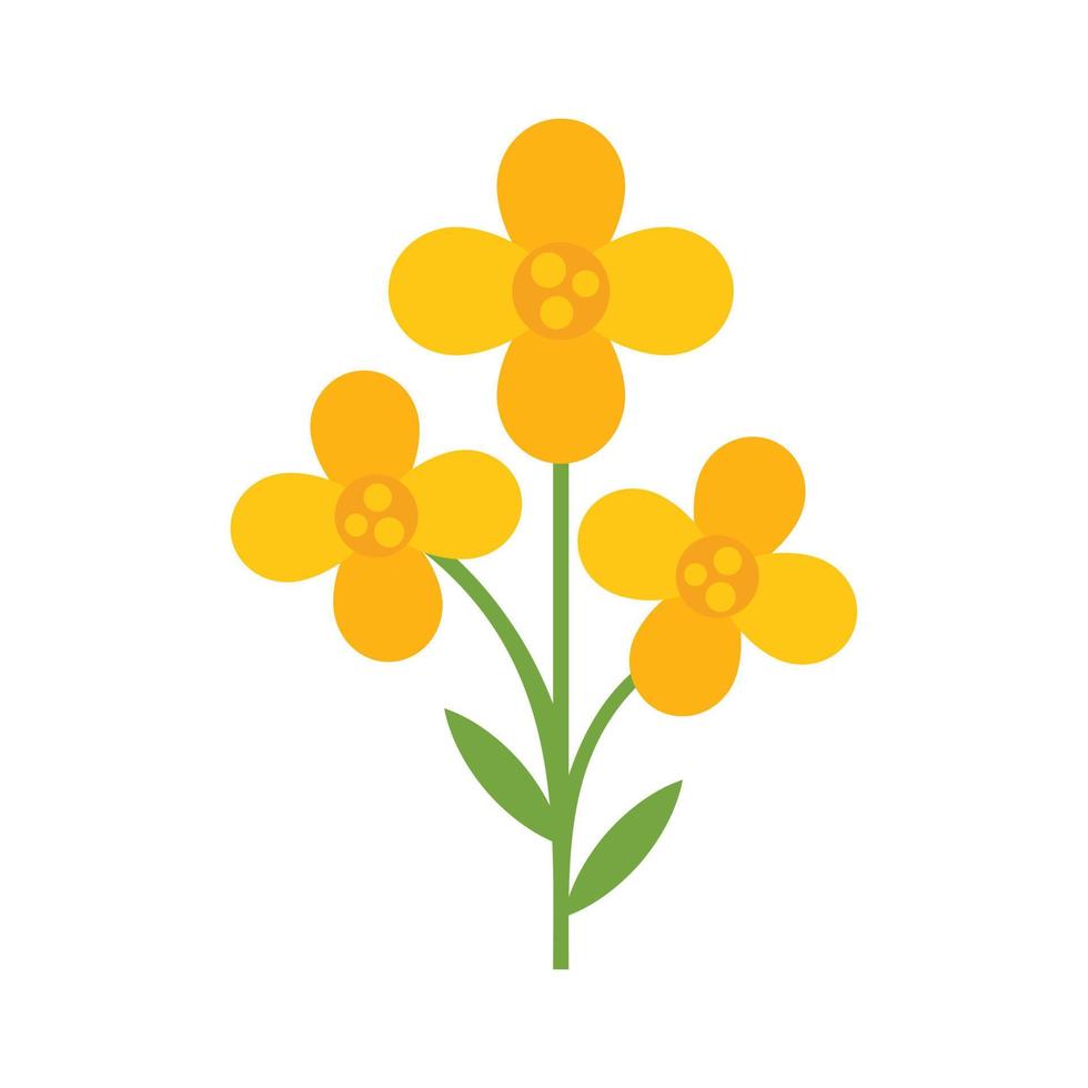 vector plano de icono de canola de campo. planta de aceite