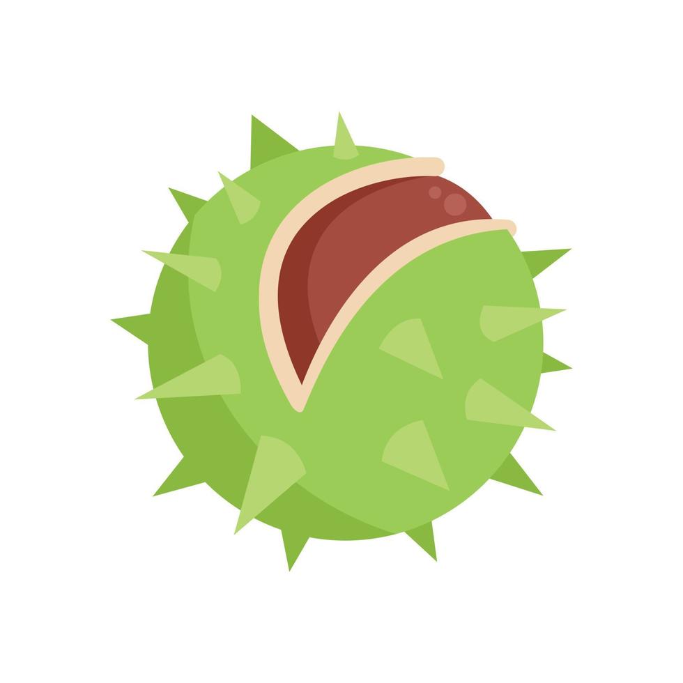 vector plano de icono de castaña dulce. arbol de comida