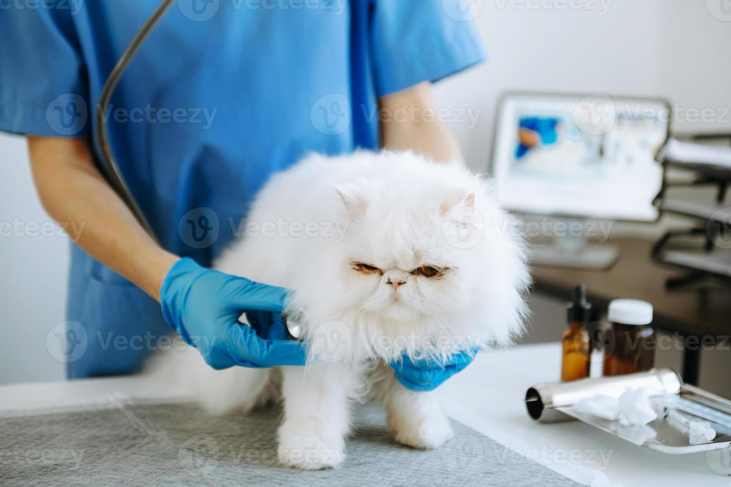 Female veterinary doctor using stethoscope for cute kitten and clean animal ears in animal hospital photo