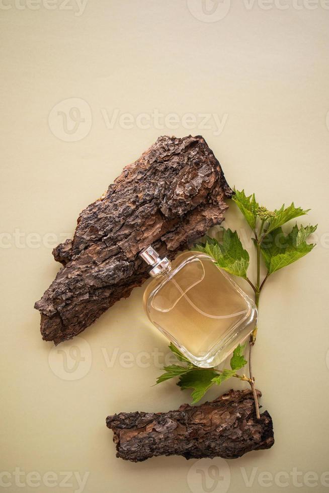 una botella sin nombre de perfume masculino o agua de tocador entre la corteza marrón de un árbol y una rama con hojas verdes. presentación de aromas. vista vertical foto