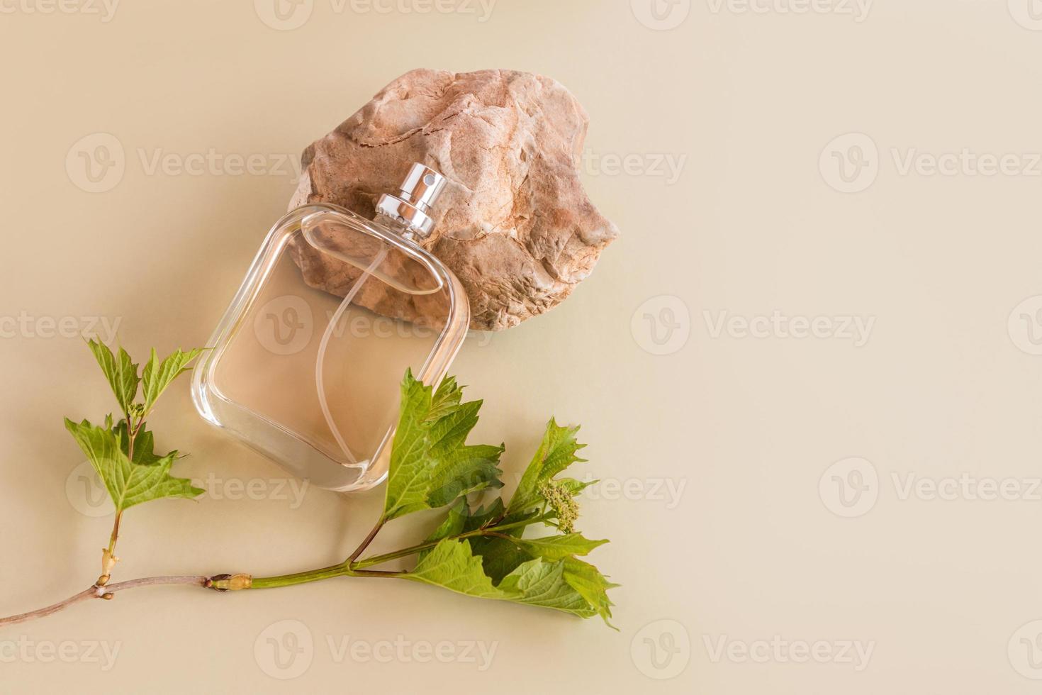 una hermosa botella de agua cosmética, de perfume o de tocador se encuentra sobre una piedra beige junto a una rama verde de la planta. fondo pastel un espacio de copia. foto