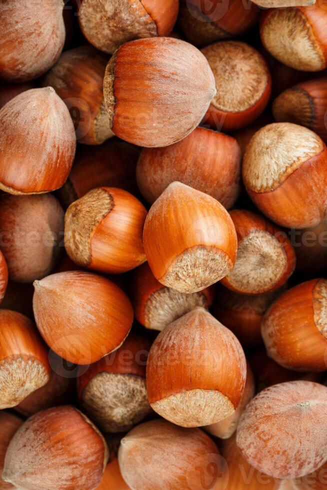 Dried unshelled hazelnuts seeds of Whole nuts as background 17333062
