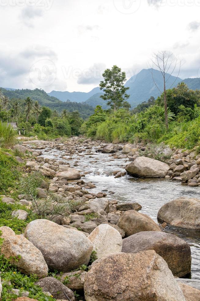 Flow of stream water from the mountain.at Promkiri, Nakhonsithammarat photo