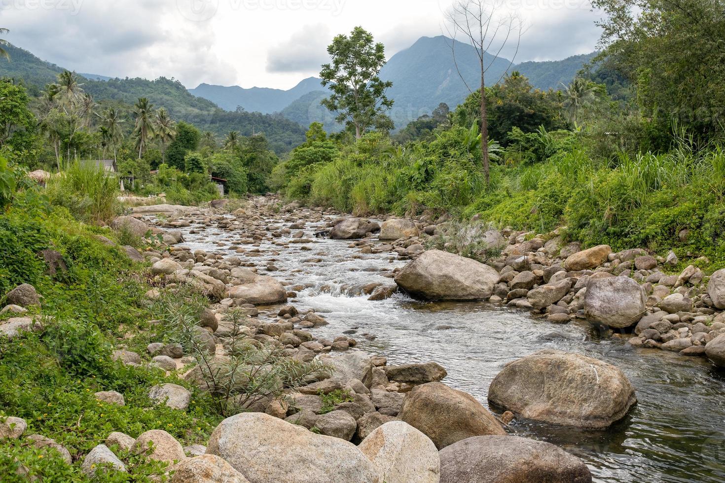 Flow of stream water from the mountain.at Promkiri, Nakhonsithammarat photo